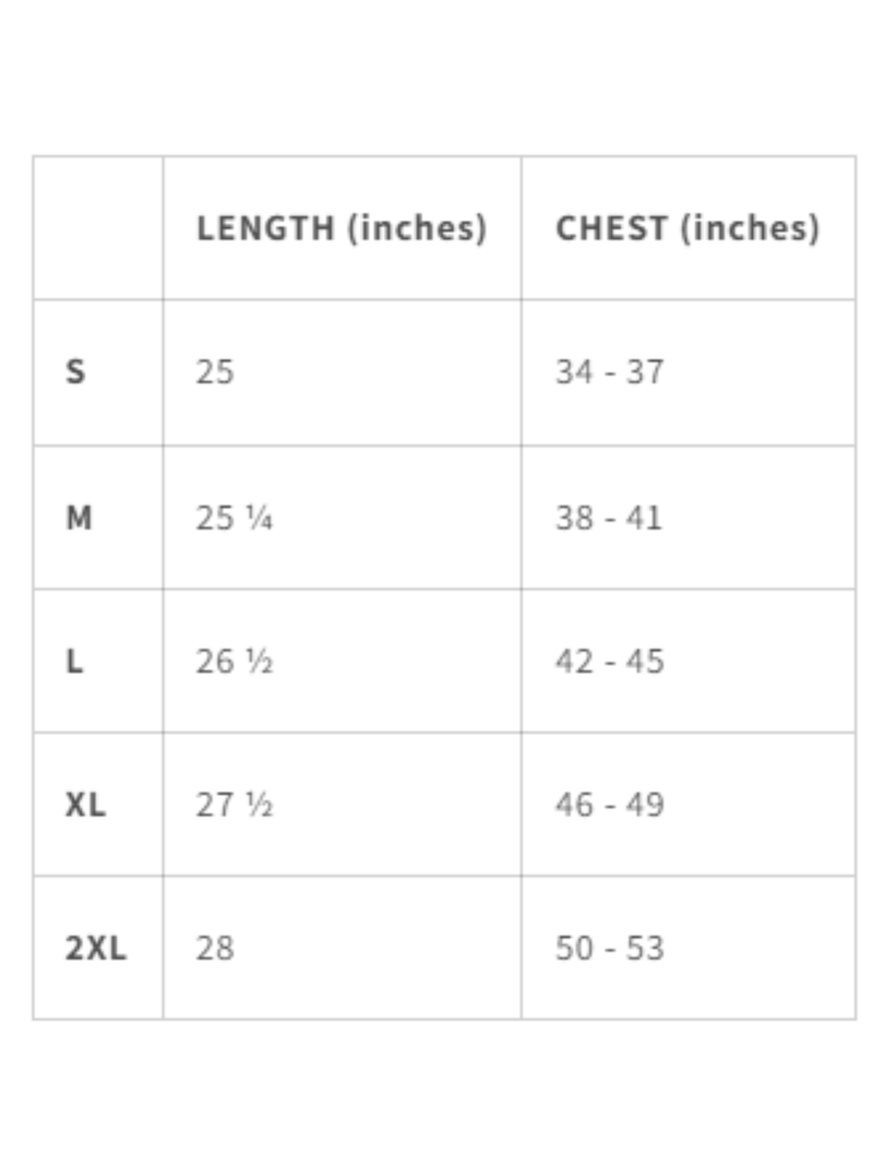 Women’s V-Neck Tee - Older, Saltier, Happier size chart